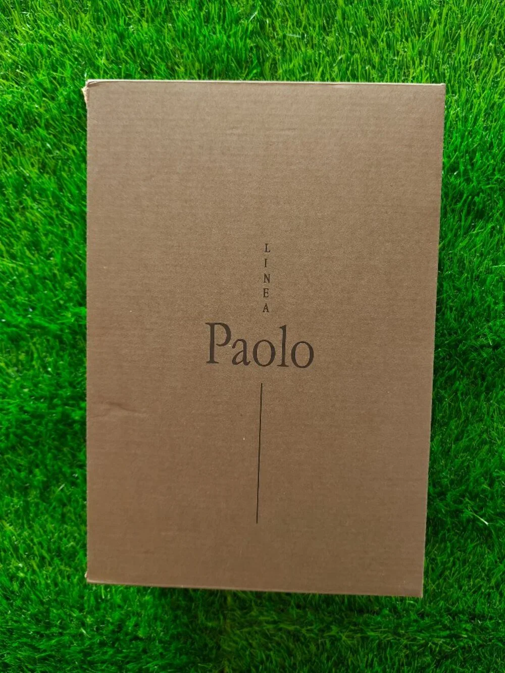 LINEA PAOLO CYNTHIA NUDE HEELED MULES (SIZE 12M)